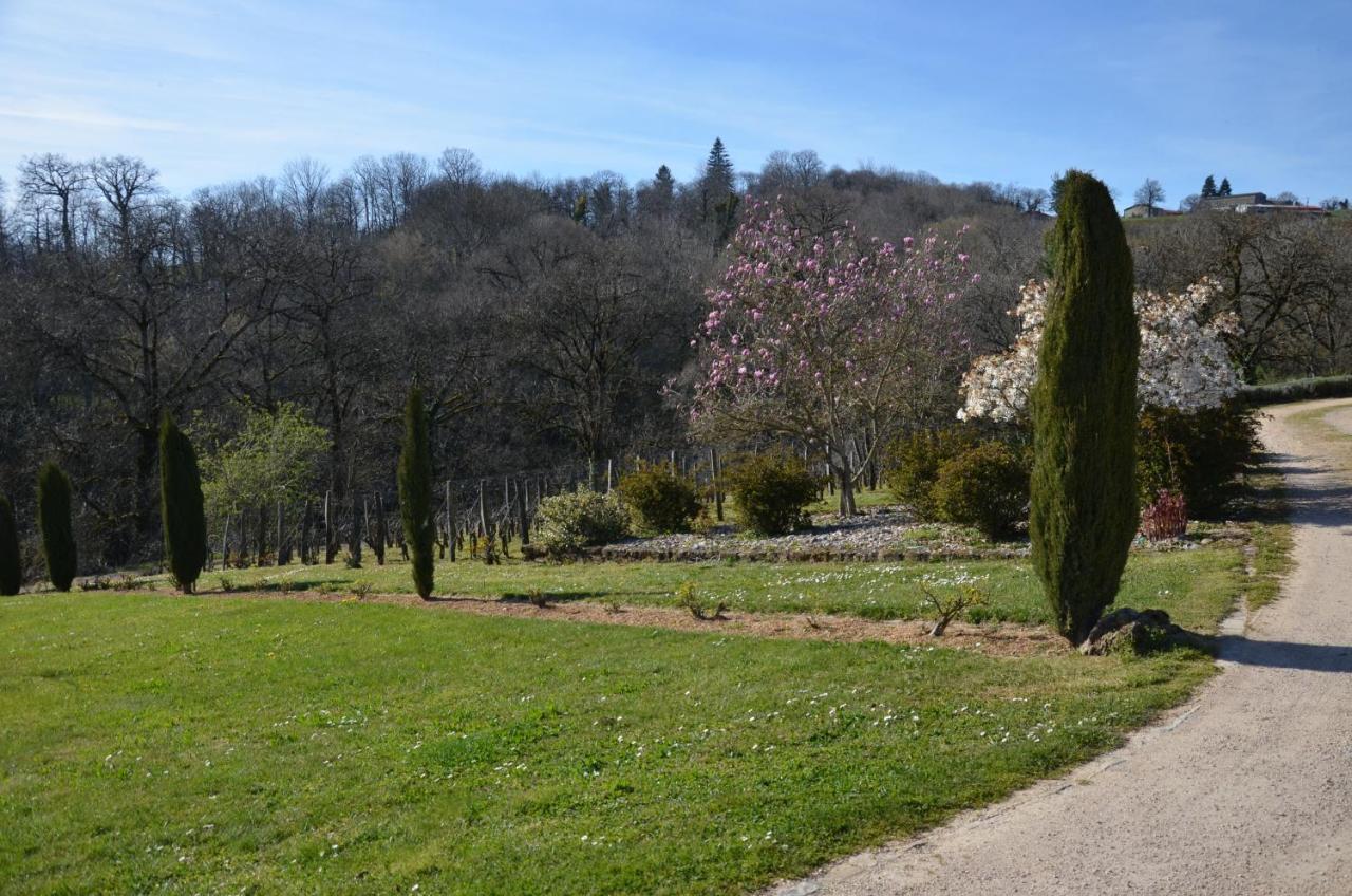 Apartament La Vigneraie Albiac Zewnętrze zdjęcie